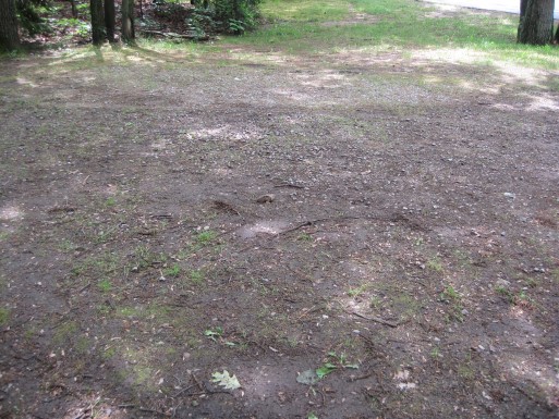 Site 1, photo 3 of 3 · from midnrreservations.com (the park's booking system)