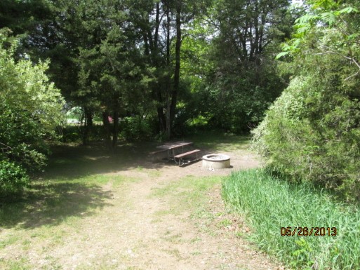 Site C3, photo 2 of 3 · from midnrreservations.com (the park's booking system)