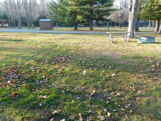 Site 43, photo 2 of 3 · from midnrreservations.com (the park's booking system)