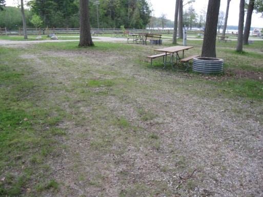 Site 164, photo 2 of 3 · from midnrreservations.com (the park's booking system)
