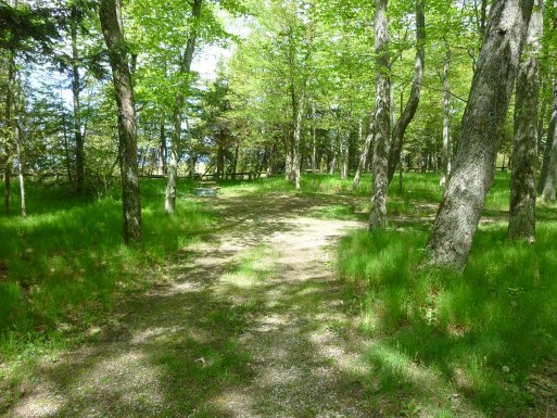 Site 4, photo 2 of 2 · from midnrreservations.com (the park's booking system)