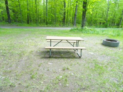 Site 21, photo 2 of 3 · from midnrreservations.com (the park's booking system)