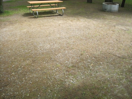 Site 7, photo 3 of 3 · from midnrreservations.com (the park's booking system)