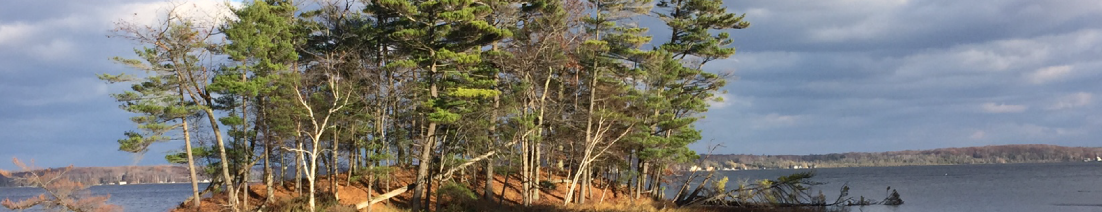 Ludington State Park