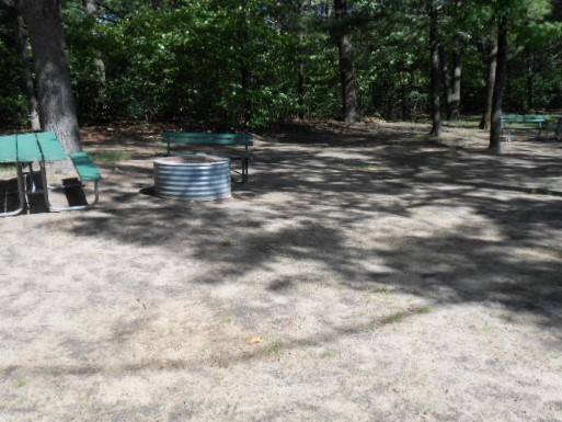 Site 154