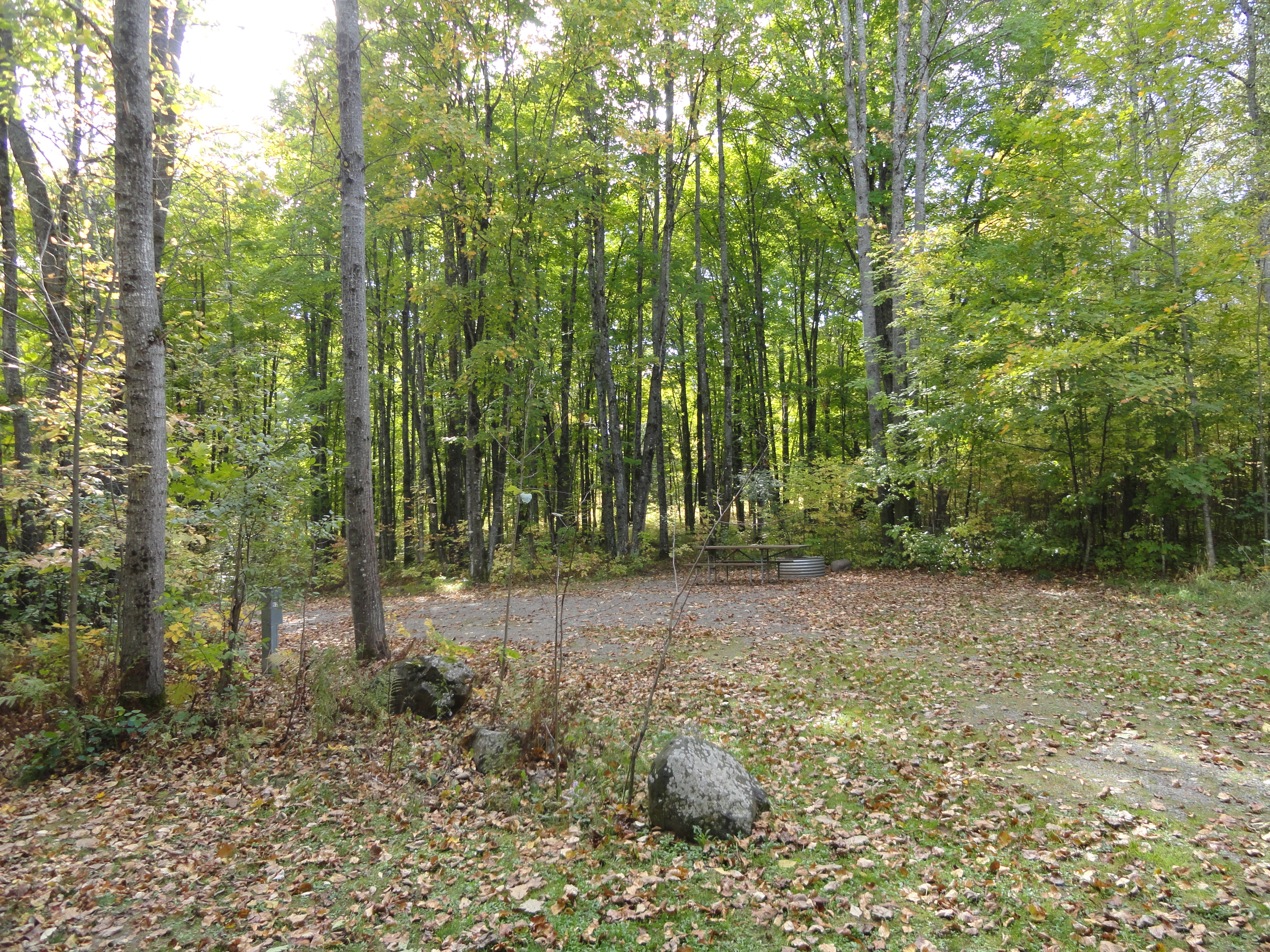 Site 89, photo 3 of 3 · from midnrreservations.com (the park's booking system)