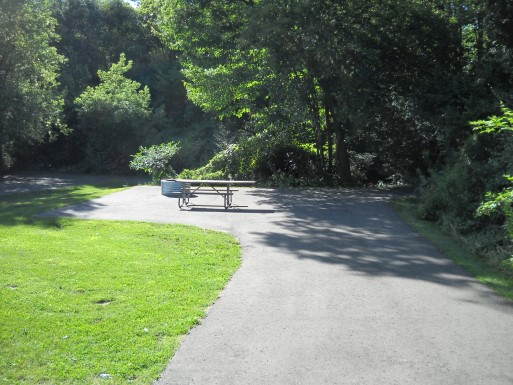 Site 79, photo 2 of 2 · from midnrreservations.com (the park's booking system)