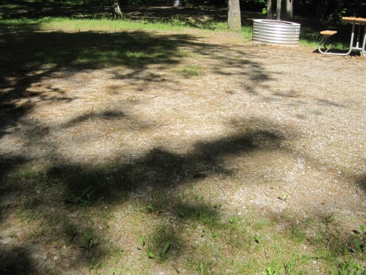 Site 3, photo 3 of 3 · from midnrreservations.com (the park's booking system)