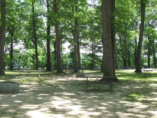 Site 20, photo 3 of 3 · from midnrreservations.com (the park's booking system)