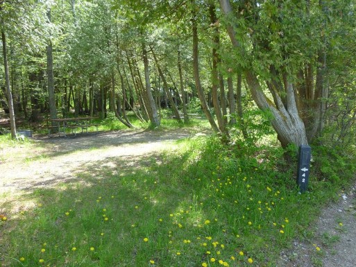 Site 42, photo 2 of 3 · from midnrreservations.com (the park's booking system)