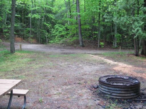 Site 5, photo 3 of 3 · from midnrreservations.com (the park's booking system)