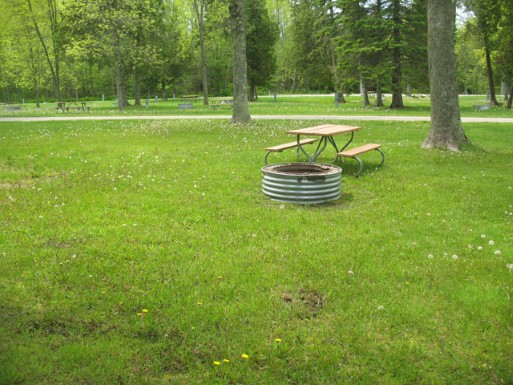 Site 61, photo 3 of 3 · from midnrreservations.com (the park's booking system)