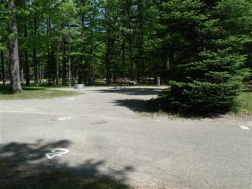 Site 43, photo 2 of 3 · from midnrreservations.com (the park's booking system)