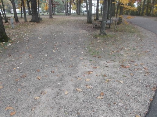 Site 124, photo 2 of 2 · from midnrreservations.com (the park's booking system)