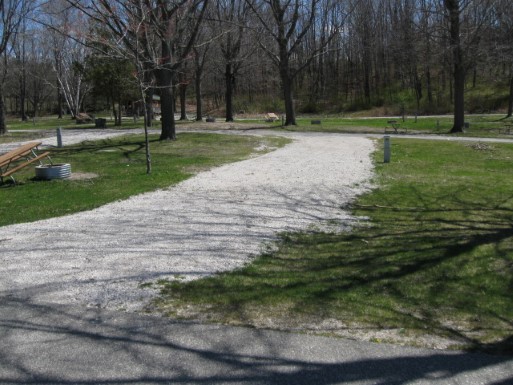 Site 41, photo 2 of 3 · from midnrreservations.com (the park's booking system)