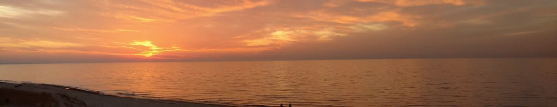 Warren Dunes State Park
