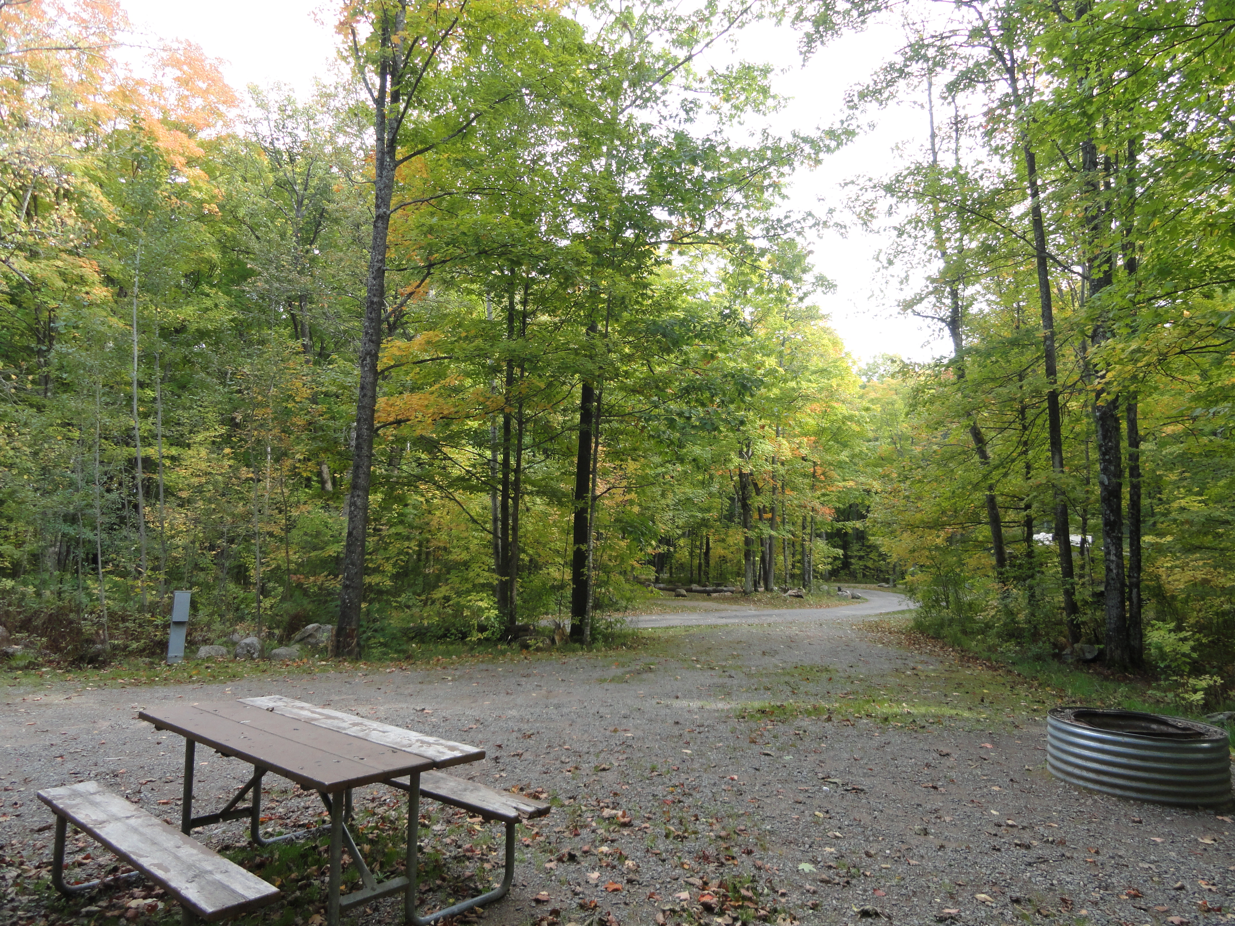 Site 93, photo 2 of 2 · from midnrreservations.com (the park's booking system)