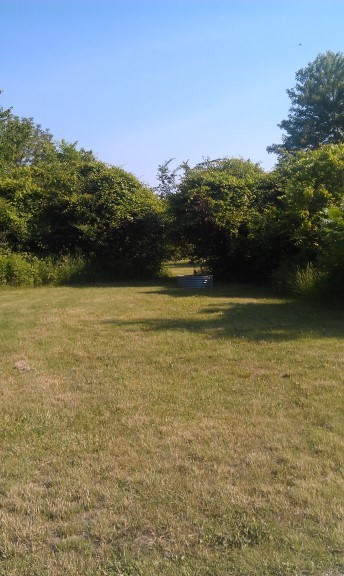 Site 4, photo 2 of 2 · from midnrreservations.com (the park's booking system)
