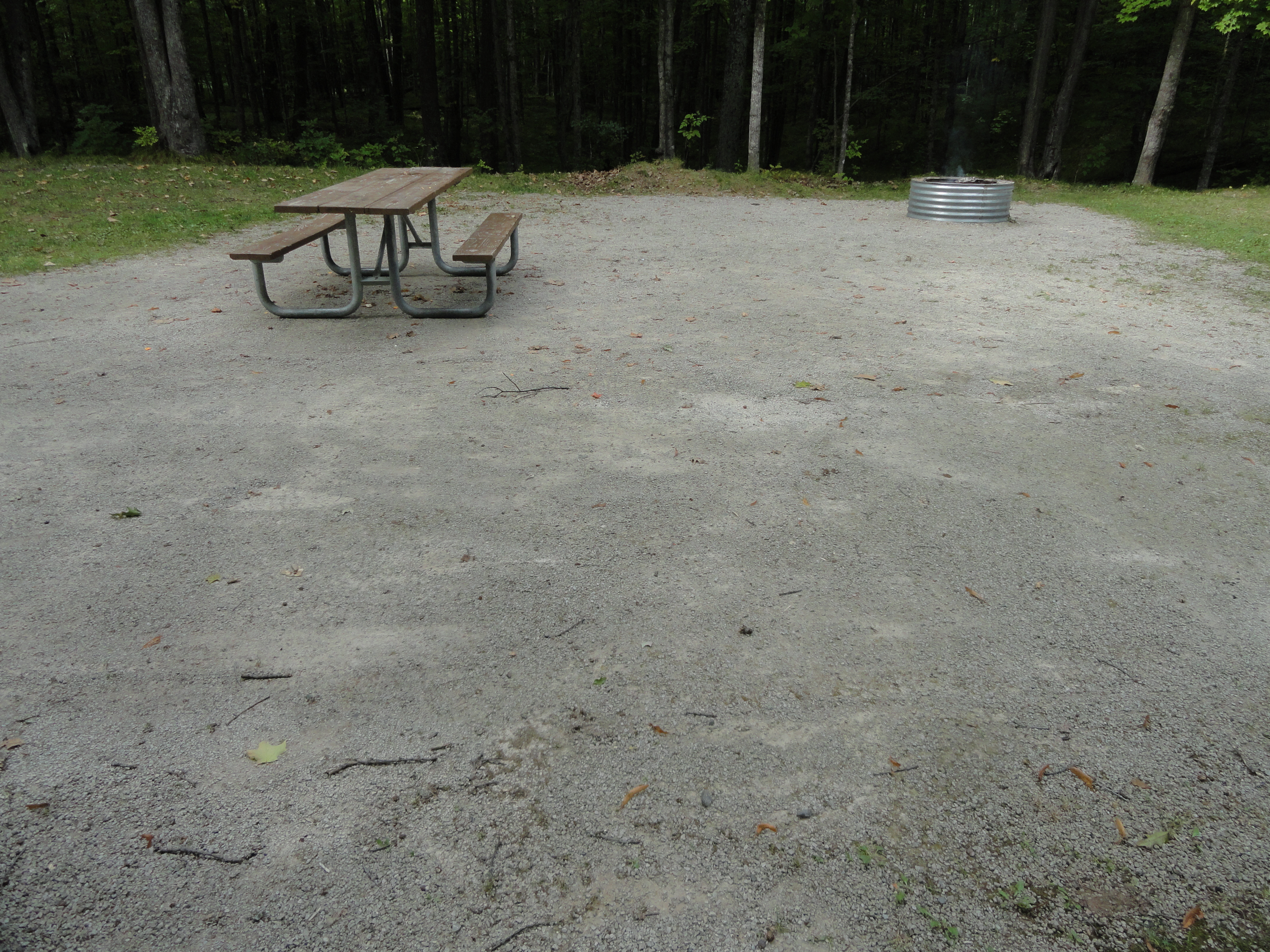 Site 45, photo 3 of 3 · from midnrreservations.com (the park's booking system)