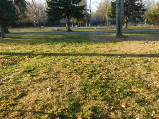 Site 45, photo 2 of 3 · from midnrreservations.com (the park's booking system)