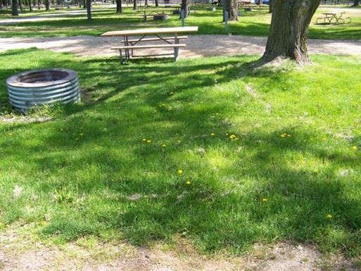 Site 46, photo 2 of 2 · from midnrreservations.com (the park's booking system)