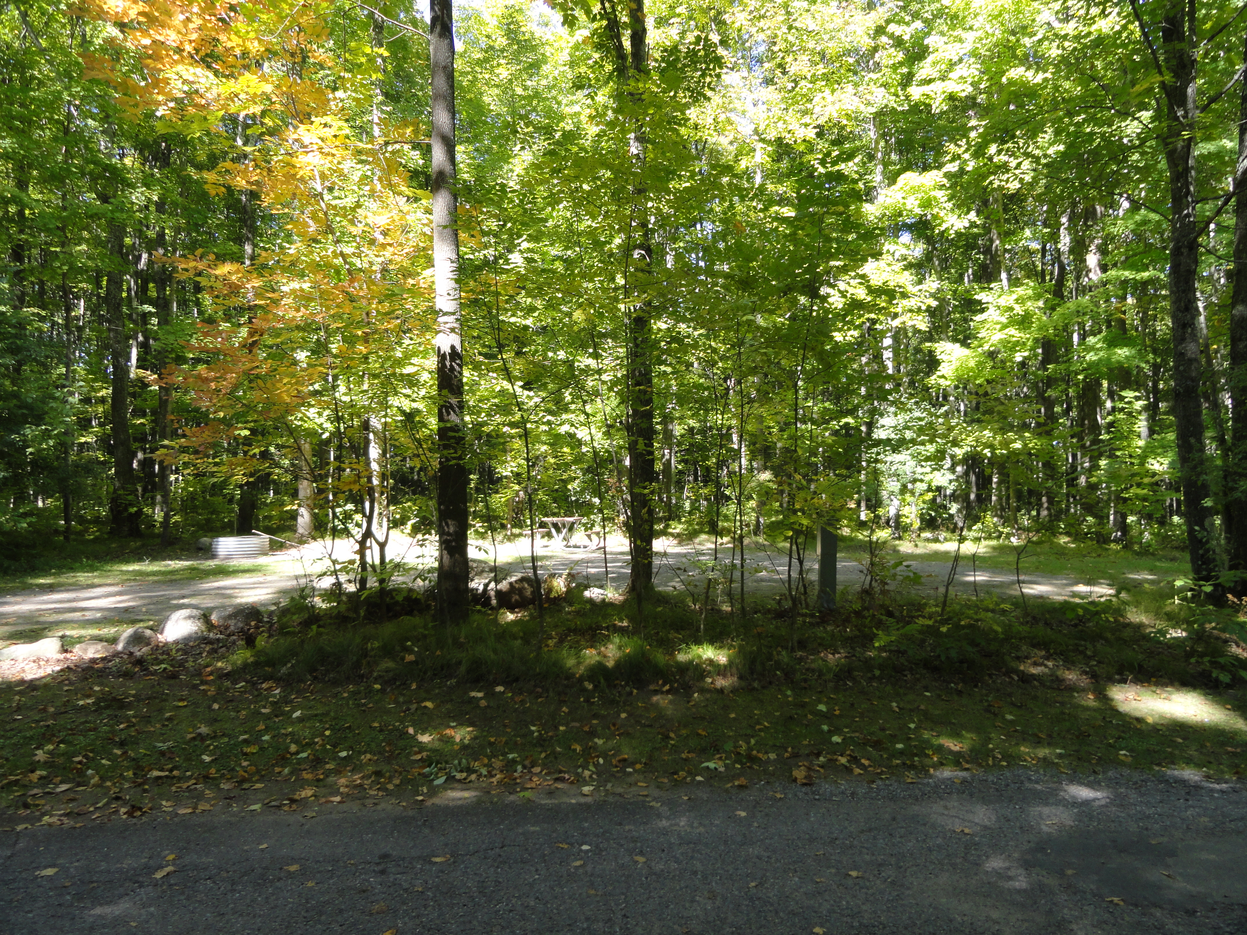 Site 78, photo 2 of 3 · from midnrreservations.com (the park's booking system)