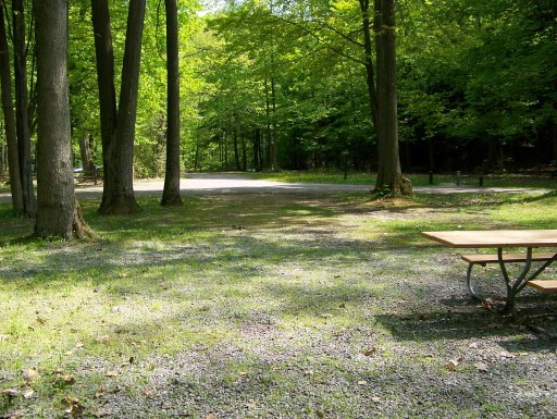 Site 62, photo 2 of 2 · from midnrreservations.com (the park's booking system)