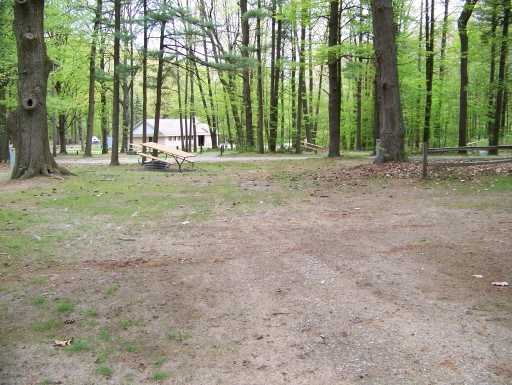 Site 195, photo 2 of 2 · from midnrreservations.com (the park's booking system)
