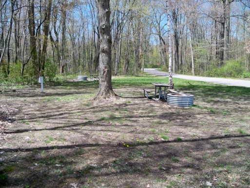Site 2, photo 2 of 2 · from midnrreservations.com (the park's booking system)
