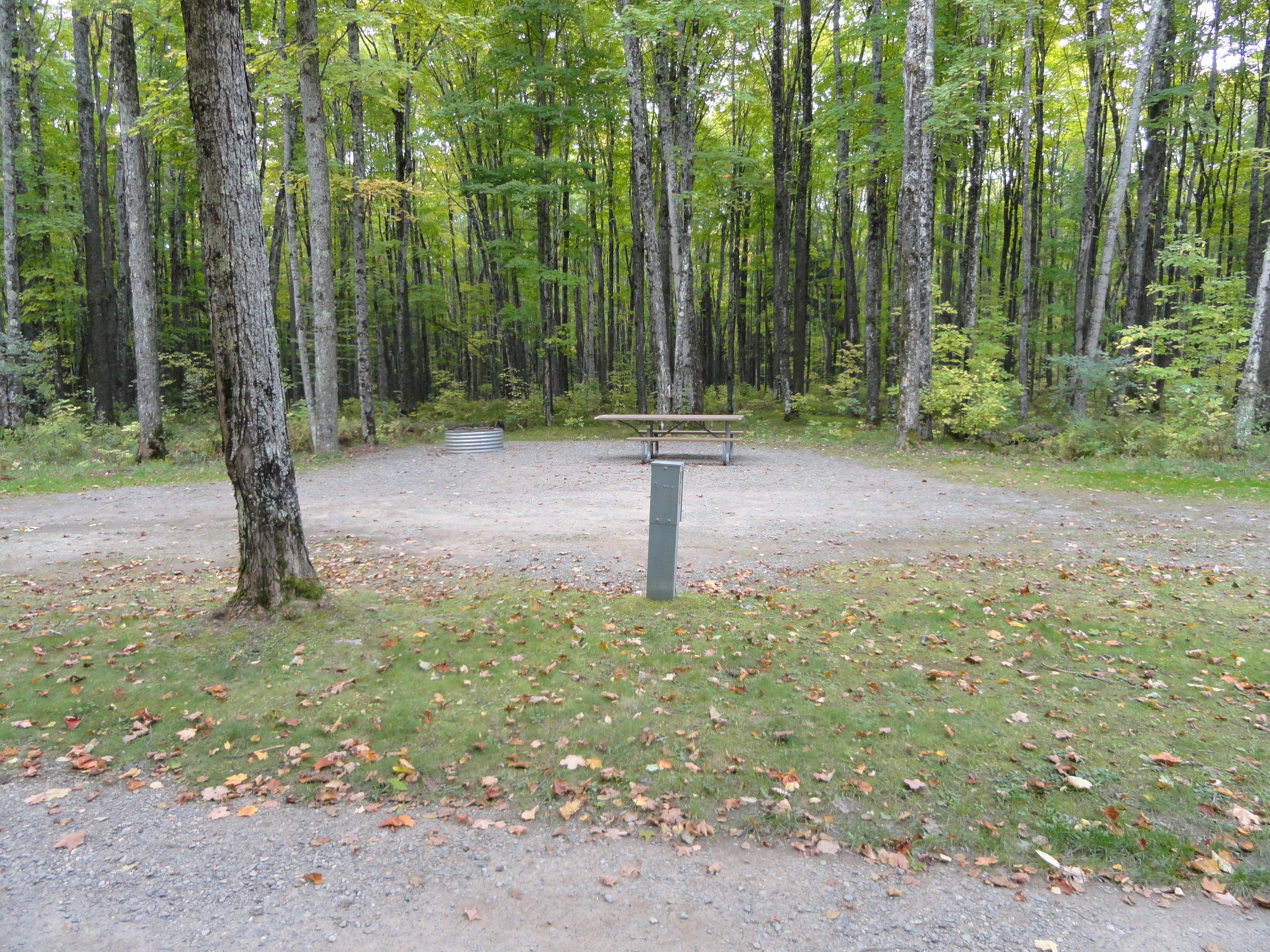 Site 100, photo 2 of 3 · from midnrreservations.com (the park's booking system)