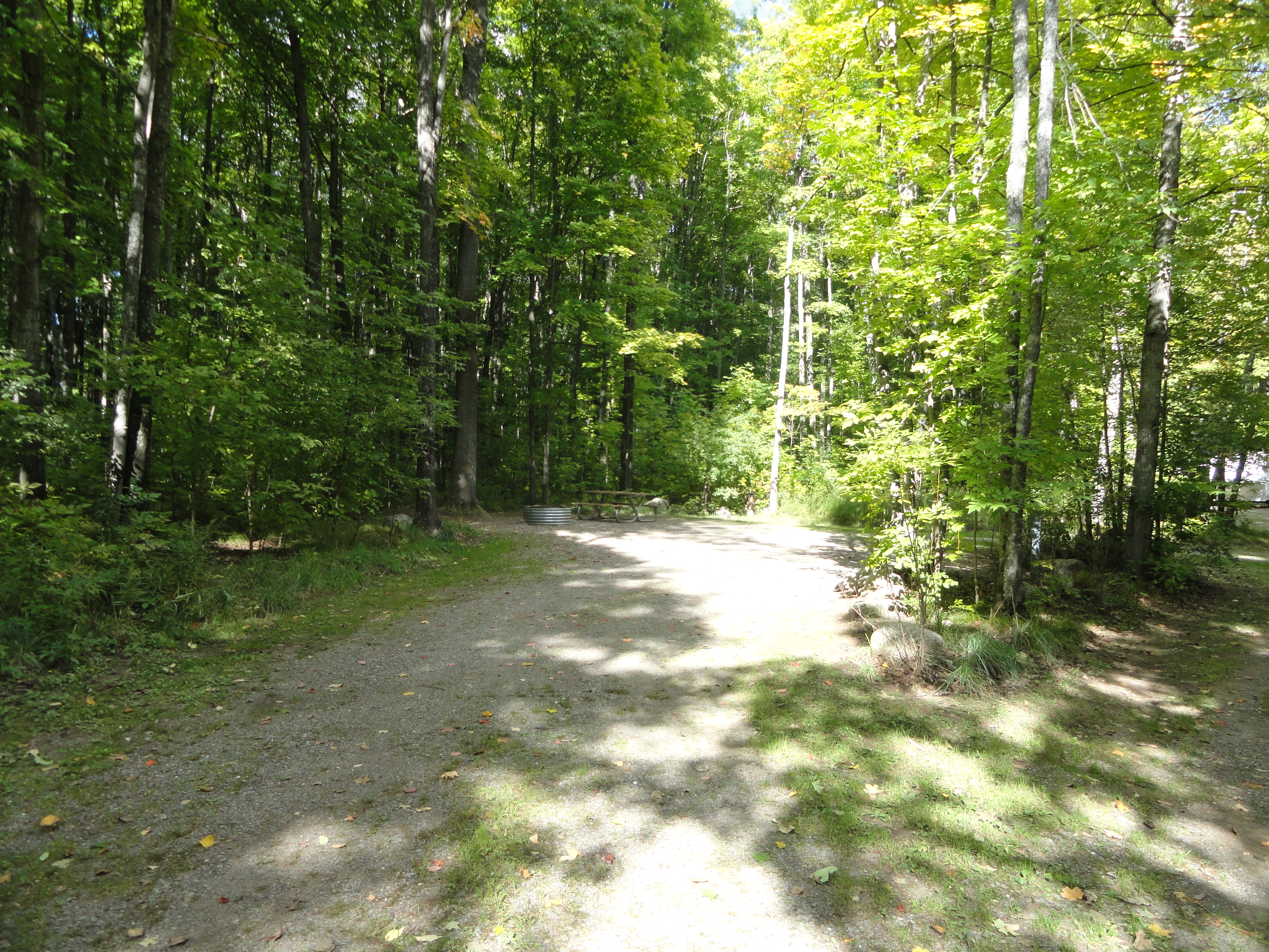 Site 80, photo 2 of 2 · from midnrreservations.com (the park's booking system)