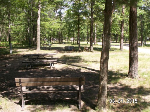 Site 218, photo 3 of 3 · from midnrreservations.com (the park's booking system)