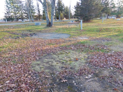 Site 52, photo 3 of 3 · from midnrreservations.com (the park's booking system)