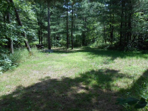 Site 1, photo 2 of 2 · from midnrreservations.com (the park's booking system)