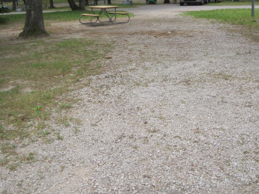 Site 124, photo 2 of 3 · from midnrreservations.com (the park's booking system)