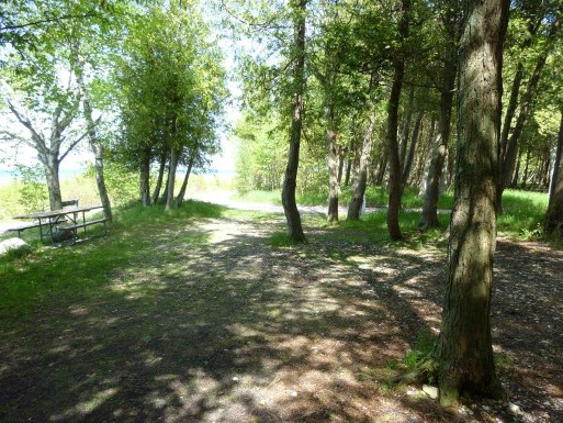Site 47, photo 2 of 2 · from midnrreservations.com (the park's booking system)