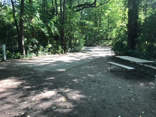 Site 33, photo 2 of 2 · from midnrreservations.com (the park's booking system)