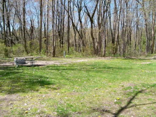 Site 1, photo 2 of 2 · from midnrreservations.com (the park's booking system)