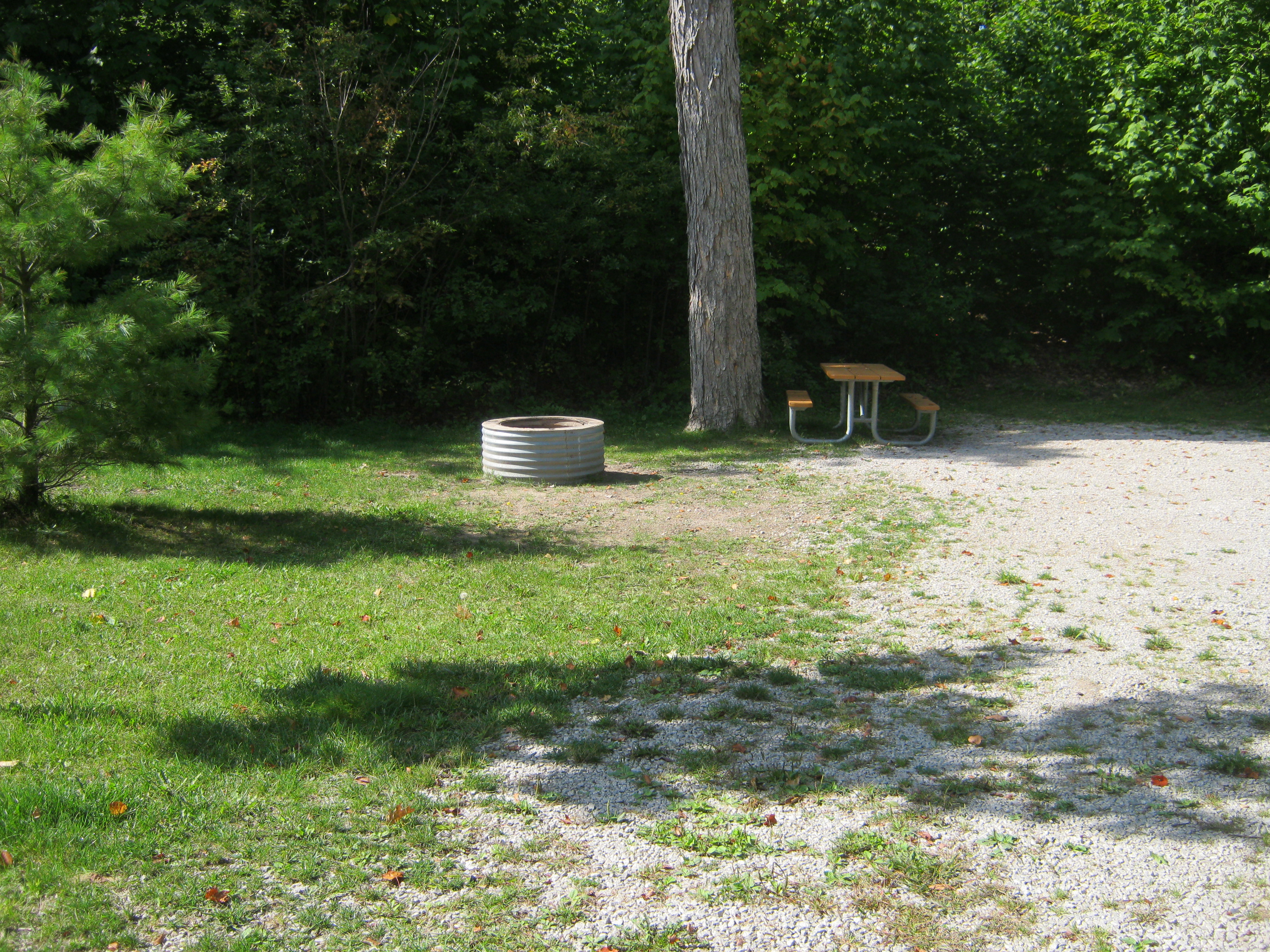 Site 58, photo 2 of 2 · from midnrreservations.com (the park's booking system)