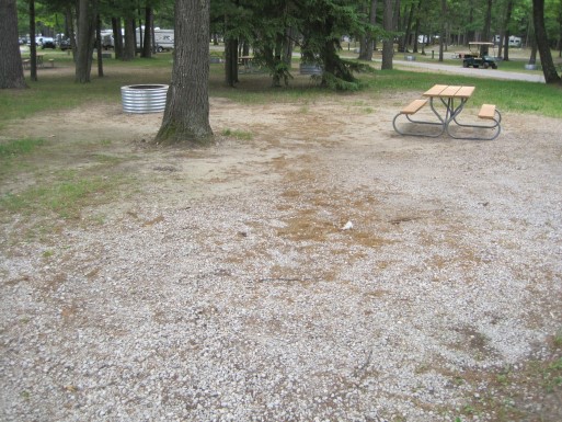 Site 124, photo 3 of 3 · from midnrreservations.com (the park's booking system)