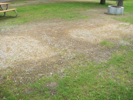 Site 8, photo 3 of 3 · from midnrreservations.com (the park's booking system)