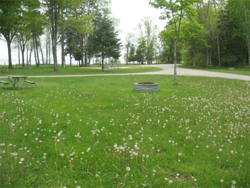 Site 93, photo 3 of 3 · from midnrreservations.com (the park's booking system)