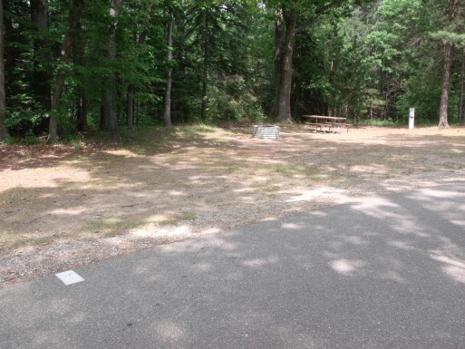 Site 169, photo 2 of 2 · from midnrreservations.com (the park's booking system)