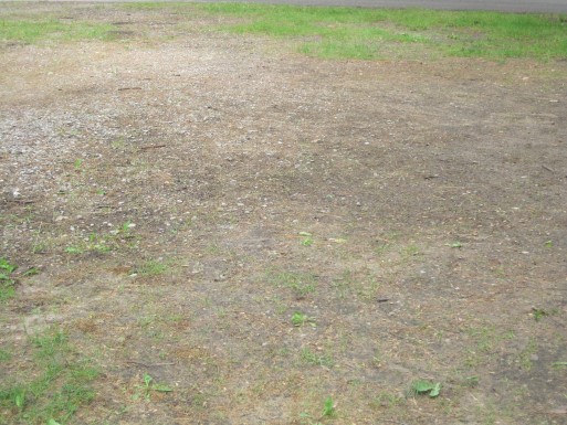 Site 5, photo 2 of 3 · from midnrreservations.com (the park's booking system)