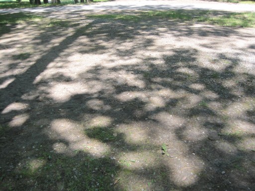 Site 76, photo 2 of 3 · from midnrreservations.com (the park's booking system)
