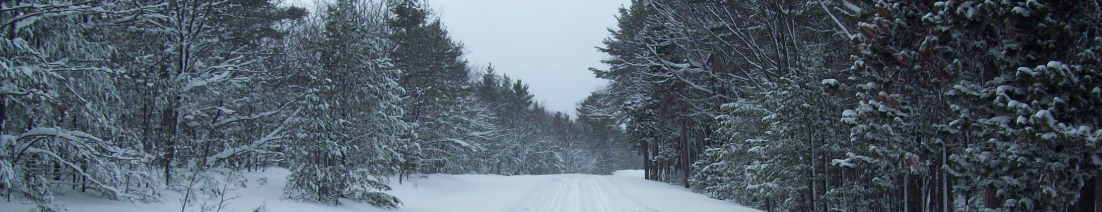 McLain State Park