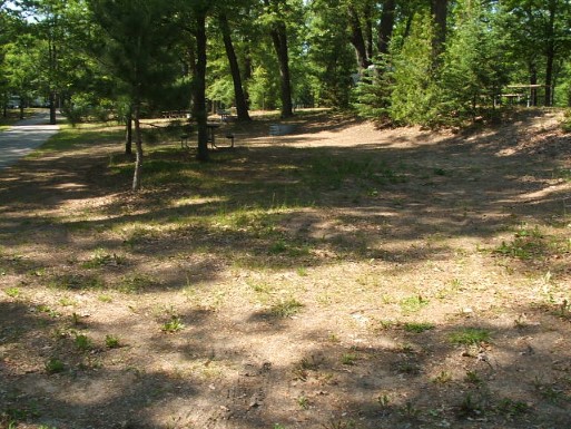 Site 99, photo 2 of 2 · from midnrreservations.com (the park's booking system)