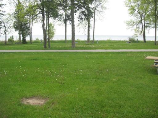 Site 11, photo 2 of 2 · from midnrreservations.com (the park's booking system)