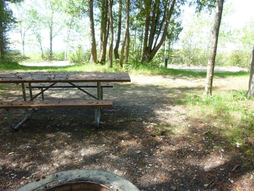 Site 42, photo 3 of 3 · from midnrreservations.com (the park's booking system)